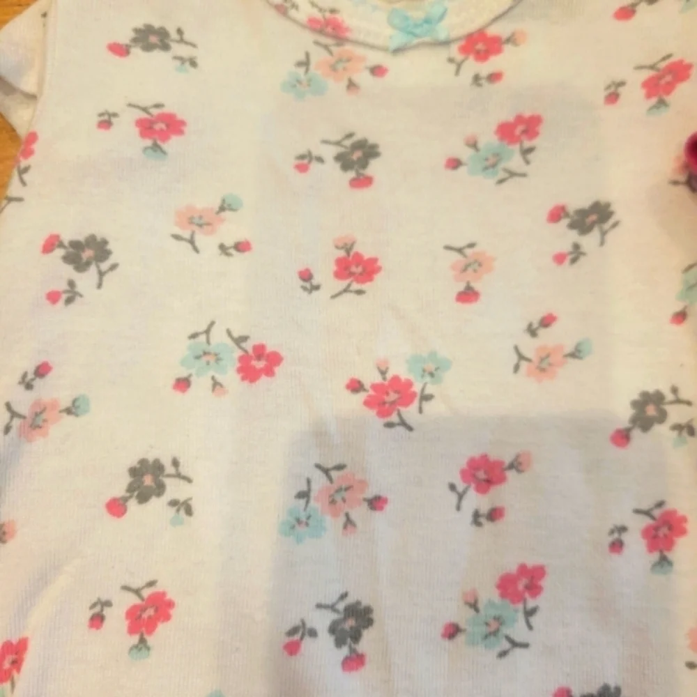 Carter's Baby girl 6 month clothing bundle onesie and pants